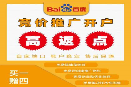百度SEO推广公司案例：如何快速提升网站排名